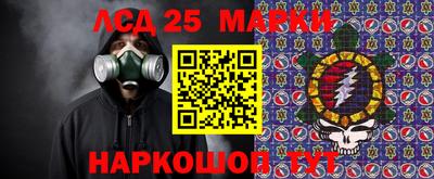 прущие грибы Ноябрьск