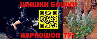прущие грибы Ноябрьск