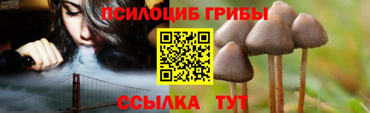 Псилоцибиновые грибы Cubensis Баксан